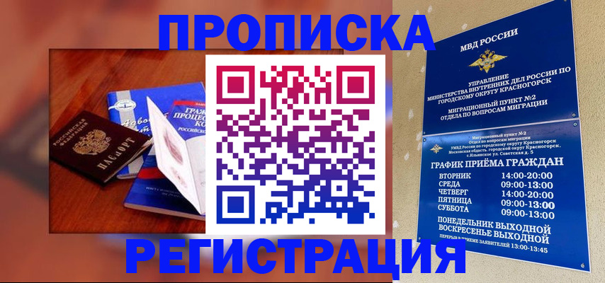 временная регистрация для школы в Железногорск-Илимском